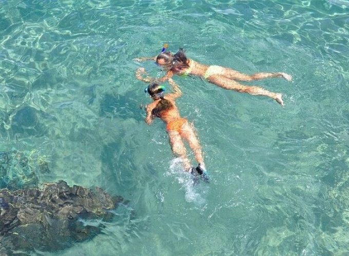 Islamorada: Snorkel adventure & Sandbar Trip