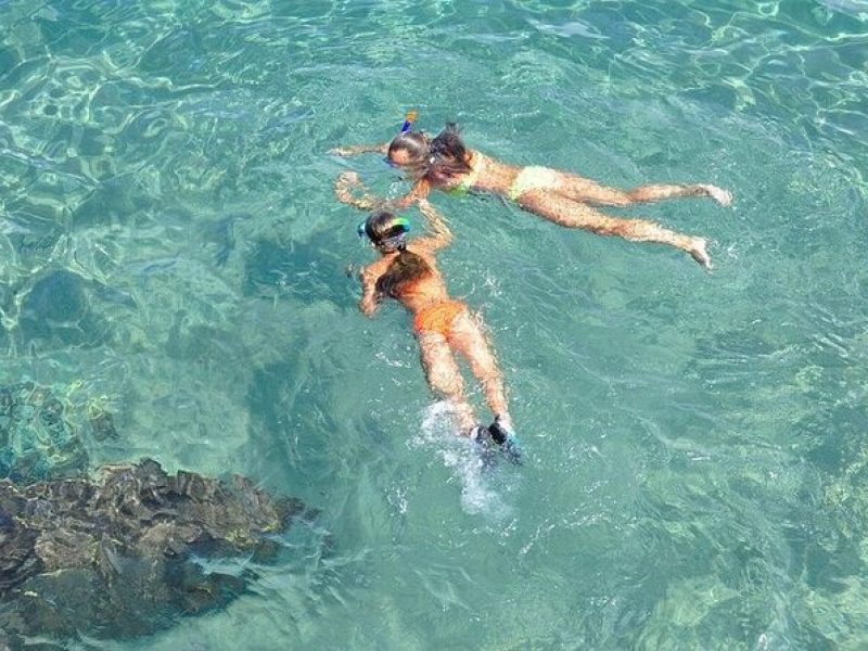 Islamorada: Snorkel adventure & Sandbar Trip