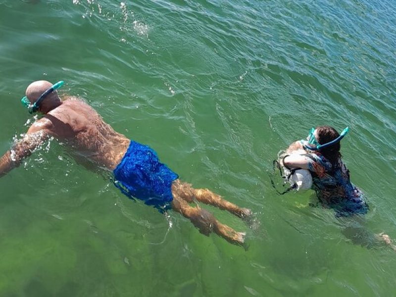 Miami Snorkeling for Beginners from Bayside Market Place