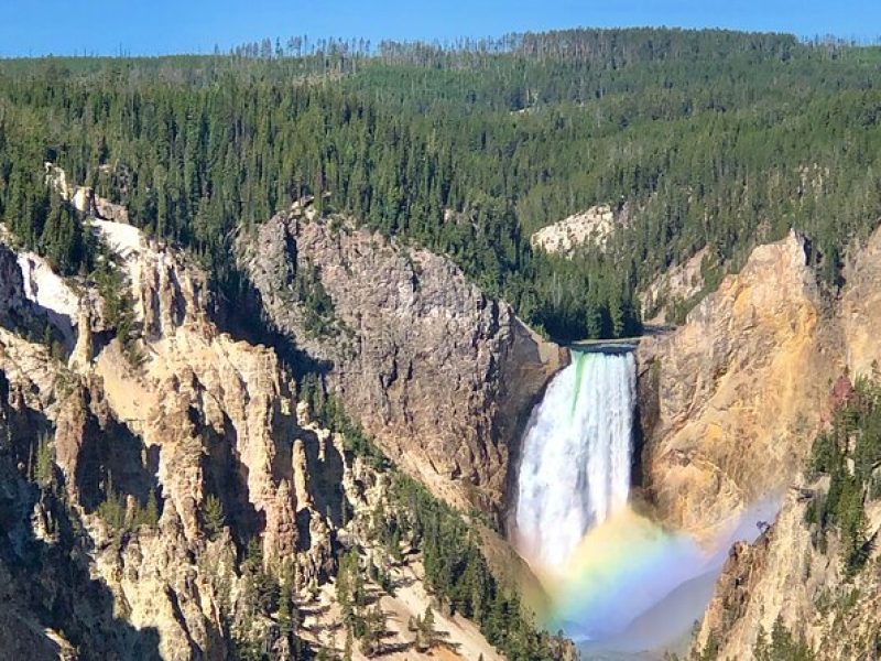 Private Yellowstone Tour: ICONIC Sites, Wildlife, Family Friendly Hikes + lunch