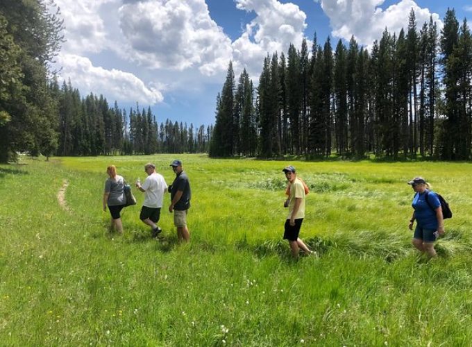 Private Hidden Gems of Yellowstone! Lunch w/ family friendly hikes included!