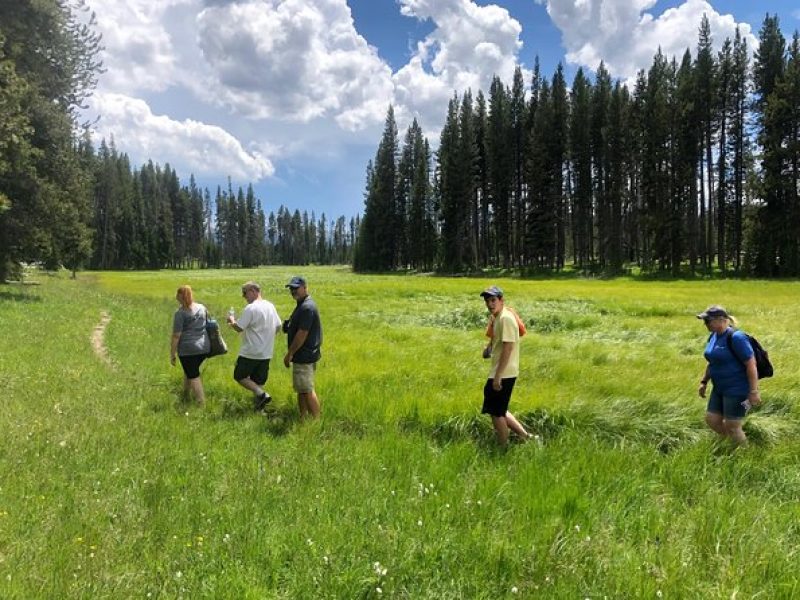 Private Hidden Gems of Yellowstone! Lunch w/ family friendly hikes included!