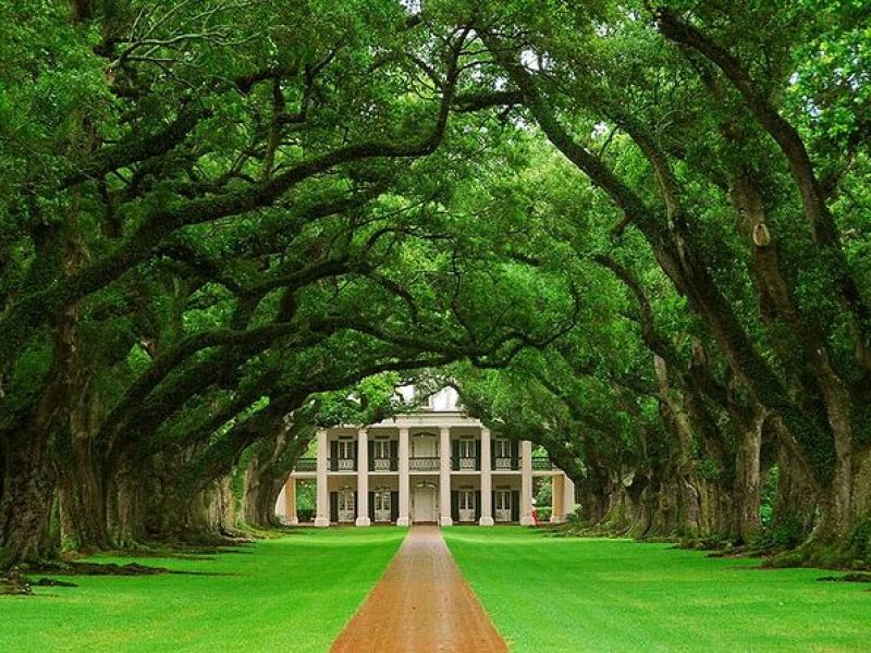 Oak Alley Plantation Half-Day Tour from New Orleans