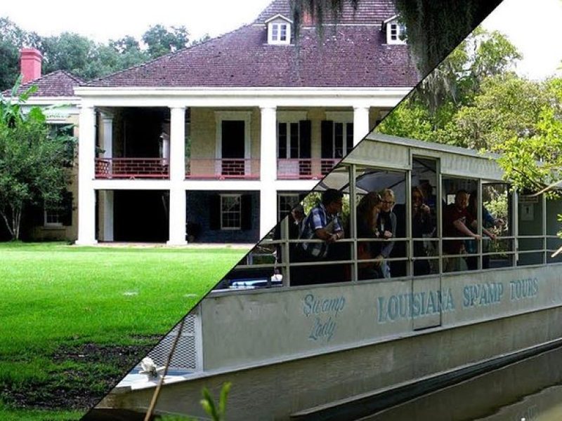 Destrehan Plantation and Swamp Tour from New Orleans