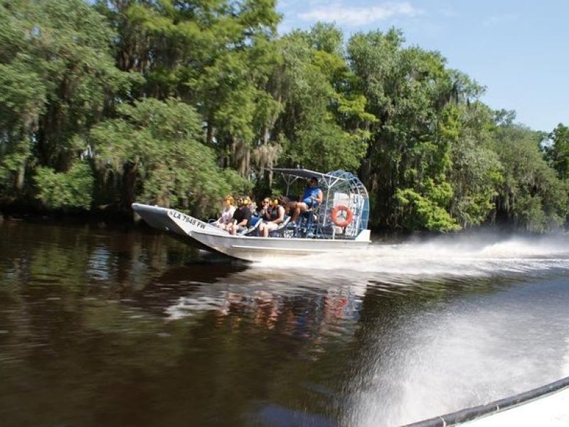 Large Airboat Swamp Tour with Transportation from New Orleans