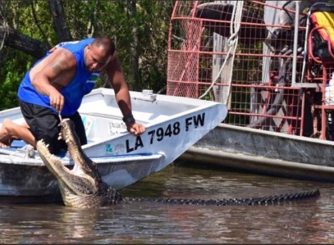 Private Bachelor or Bachelorette Airboat Swamp Tour in New Orleans