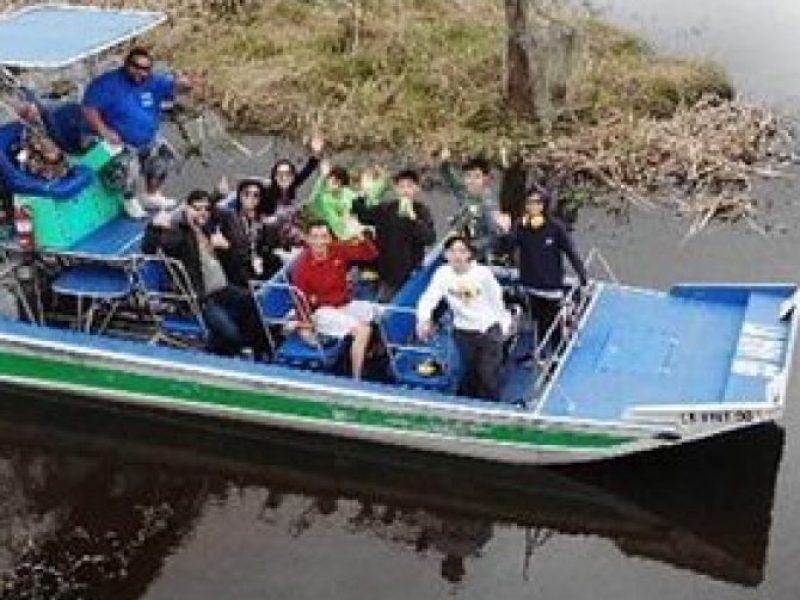 Afternoon Oak Alley Plantation and Small Airboat Swamp Tour from New Orleans