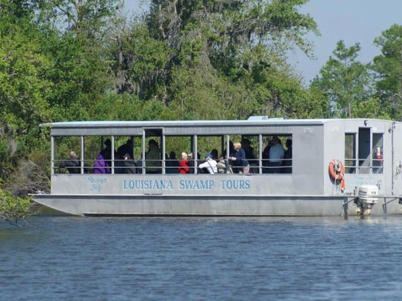 New Orleans Swamp Tour Boat Adventure with Transportation