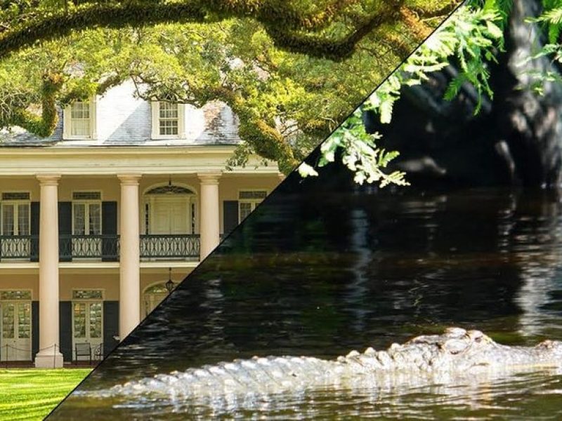 Oak Alley Plantation and Swamp Boat Tour from New Orleans