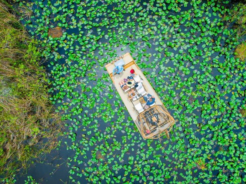 1 hr Private Airboat Everglades Tour near Miami