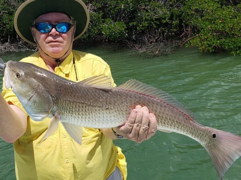 1/2 Day Afternoon Charter Fishing Naples Marco Island Sanibel