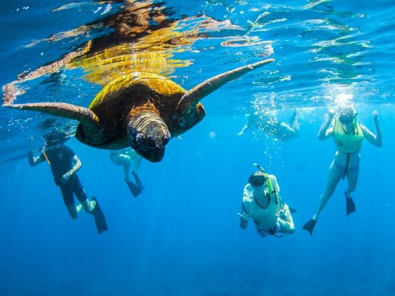 Kauai's Ultimate South Island Zodiac Boat Snorkel Adventure