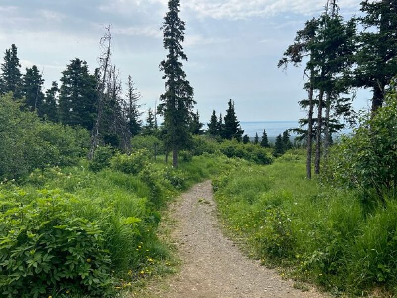 Chugach State Park Nature Walk