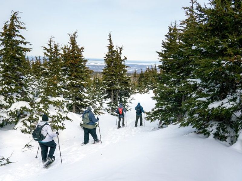 Advanced Snowshoeing Adventure