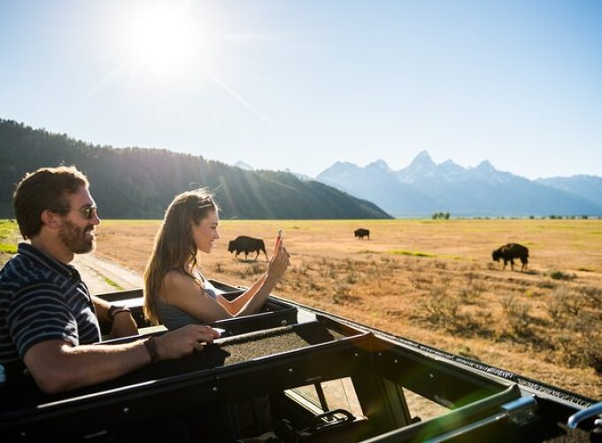 Private Sunset 4-Hour Grand Teton Wildlife Adventure