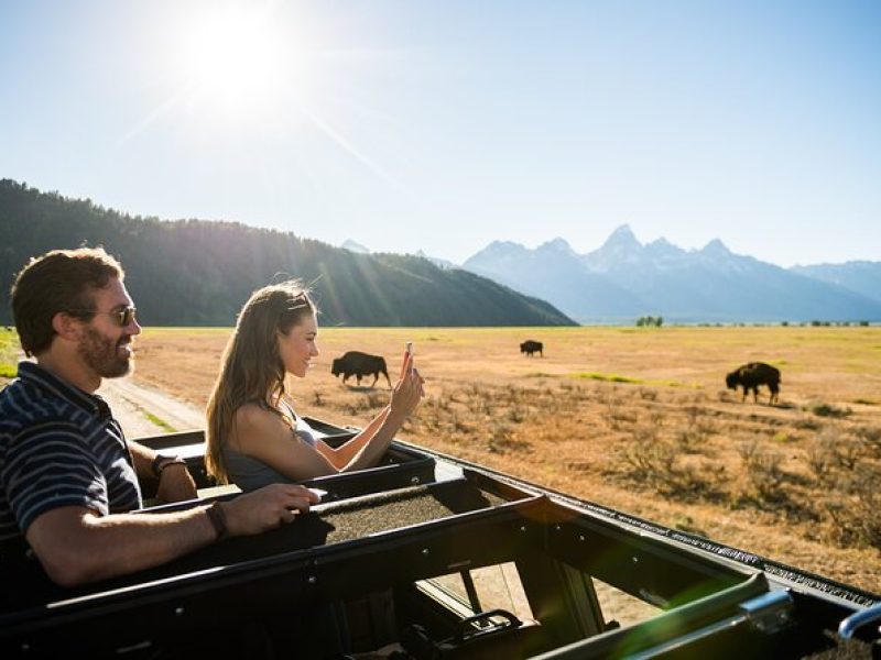 Private Sunset 4-Hour Grand Teton Wildlife Adventure