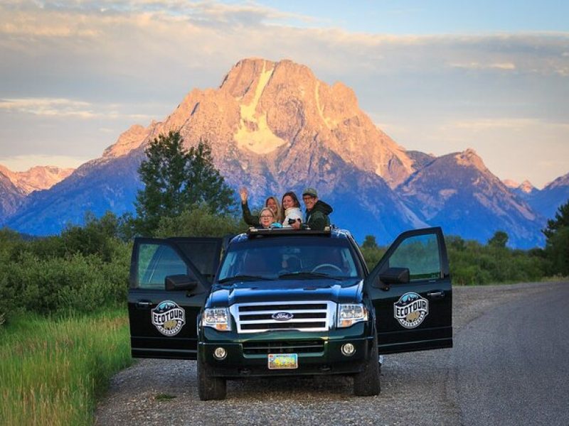 Sunset 4-Hour Grand Teton Wildlife Adventure