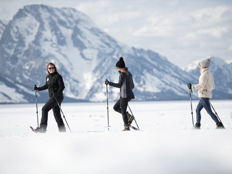 8 Hour Combination Snowshoe & Wildlife Viewing in Grand Teton National Park