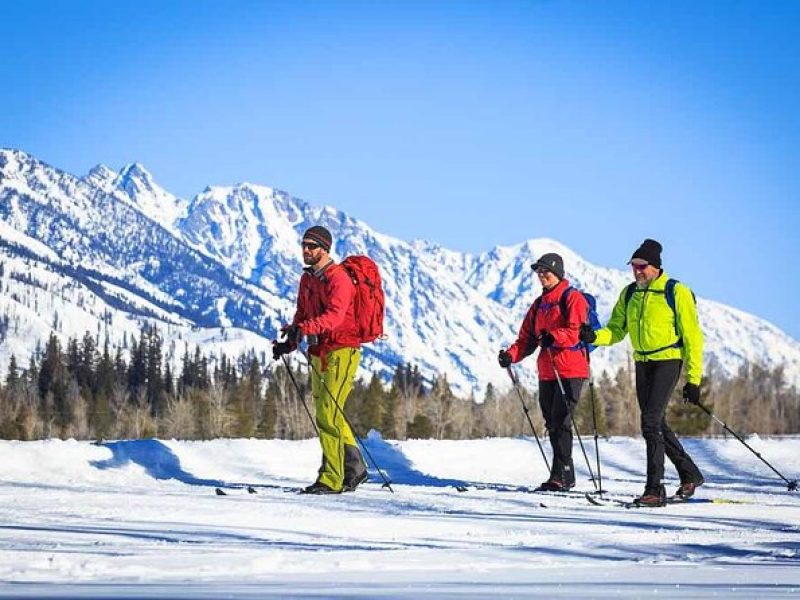 4 Hour Beginner Cross Country Skiing in Grand Teton