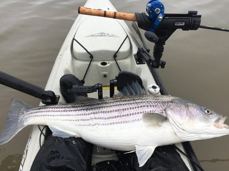 Guided Kayak Fishing Tour