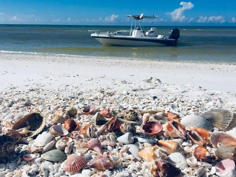 Shelling Tours – Fort Myers Beach / Naples