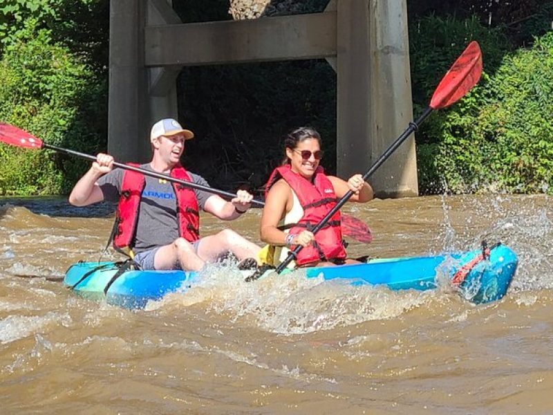 French Broad River Kayak Tour in Asheville