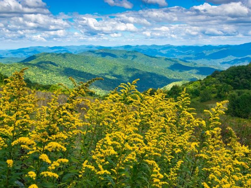 Half-Day Hike with Long Range Views from Asheville