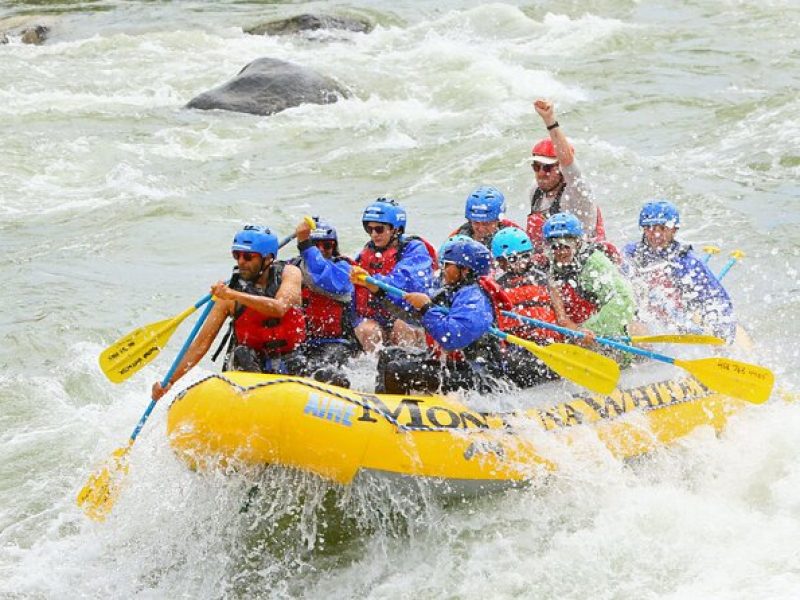 Yellowstone River 8-Mile Paradise Raft Trip