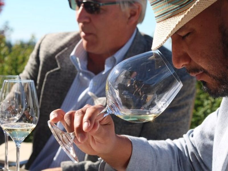 Wine Maker Hosted Wine Tasting Private Tour with Artisan Lunch