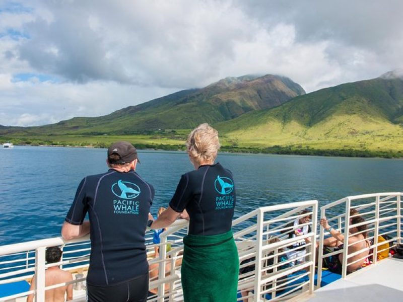 Molokini and Turtle Arches Snorkeling Trip from Ma'alaea Harbor