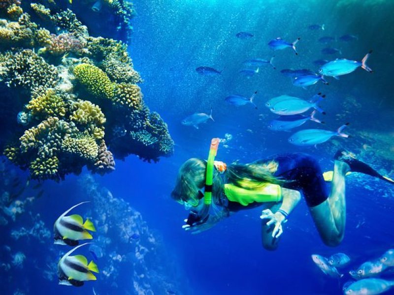 Lanai Snorkel and Dolphin Watch from Maalaea