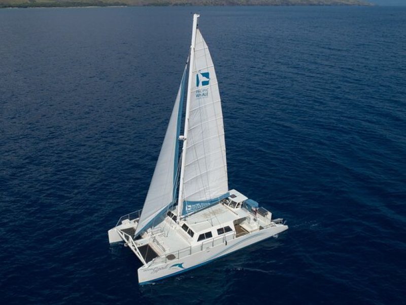 Exclusive Honolua Snorkel Sail