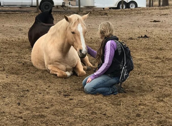 1.5 Hours Private Meditations with the Horses in Oregon