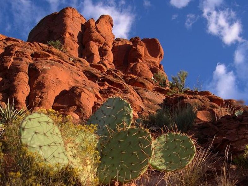 Sedona Outback Trail Jeep Adventure