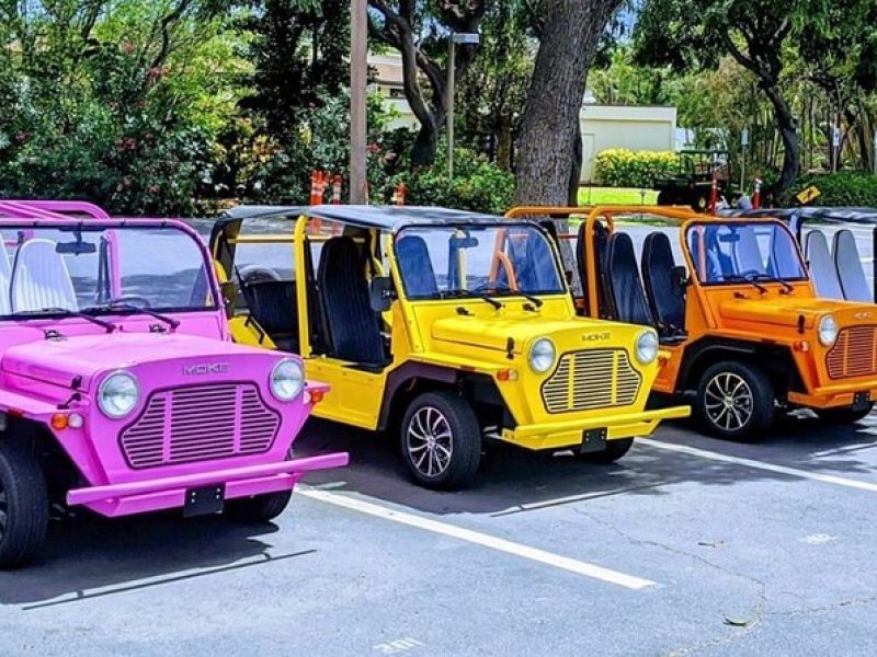 Fort Lauderdale Moke City Tour