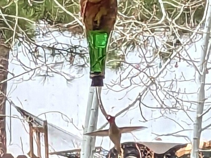 Hydro Dipped Hummingbird Feeder