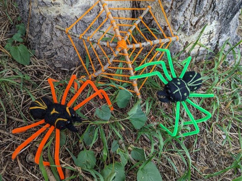 Felted Halloween Spider Art Class in Estes Park