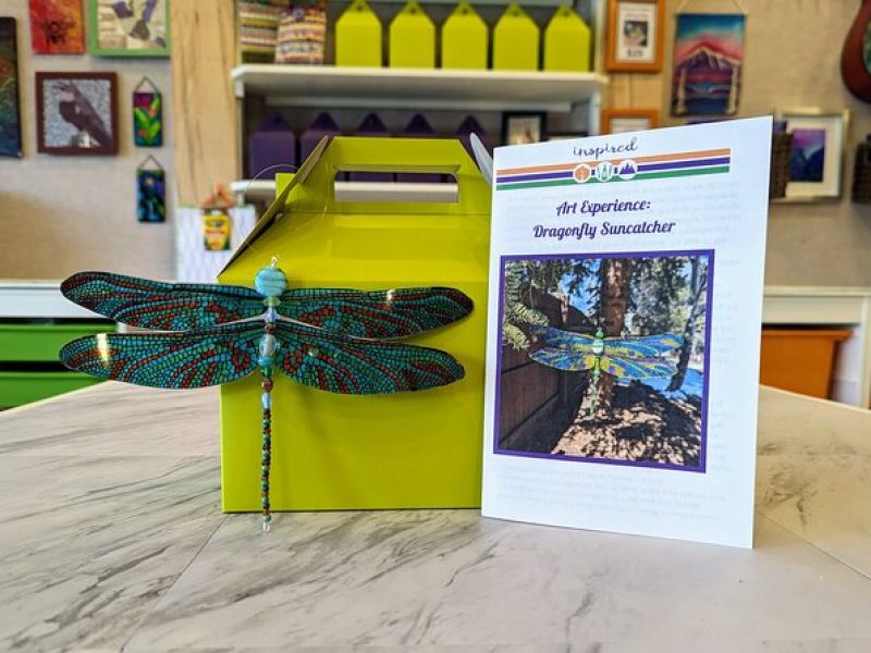 Dragonfly Suncatcher Art Kit in Estes Park