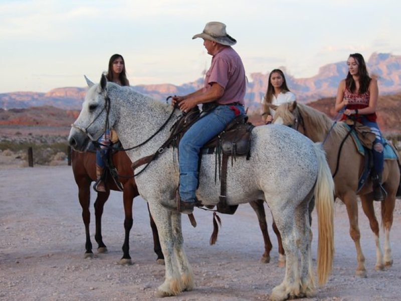 Horseback Riding with BBQ Lunch in Las Vegas