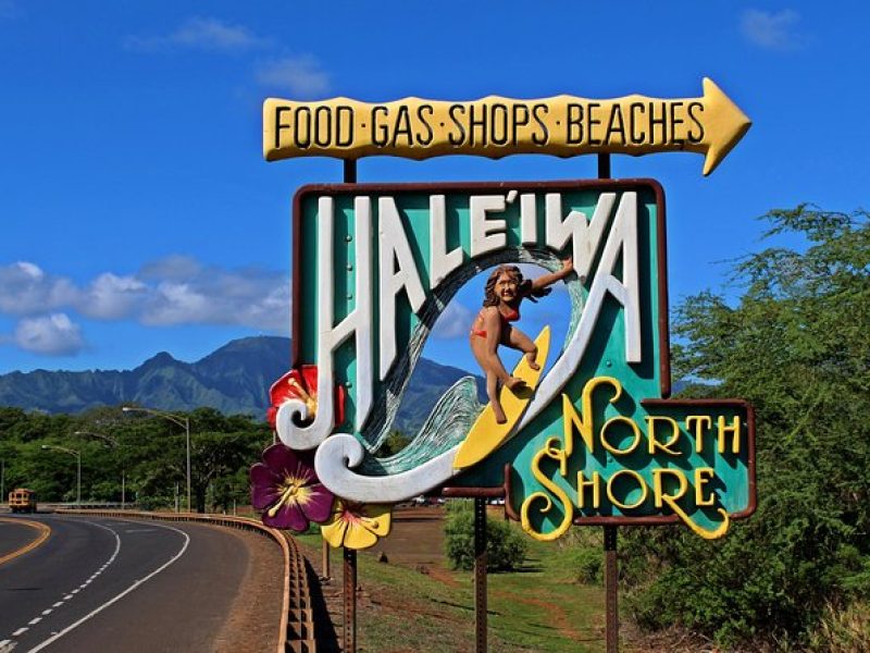 Private North Shore of Oahu Tour