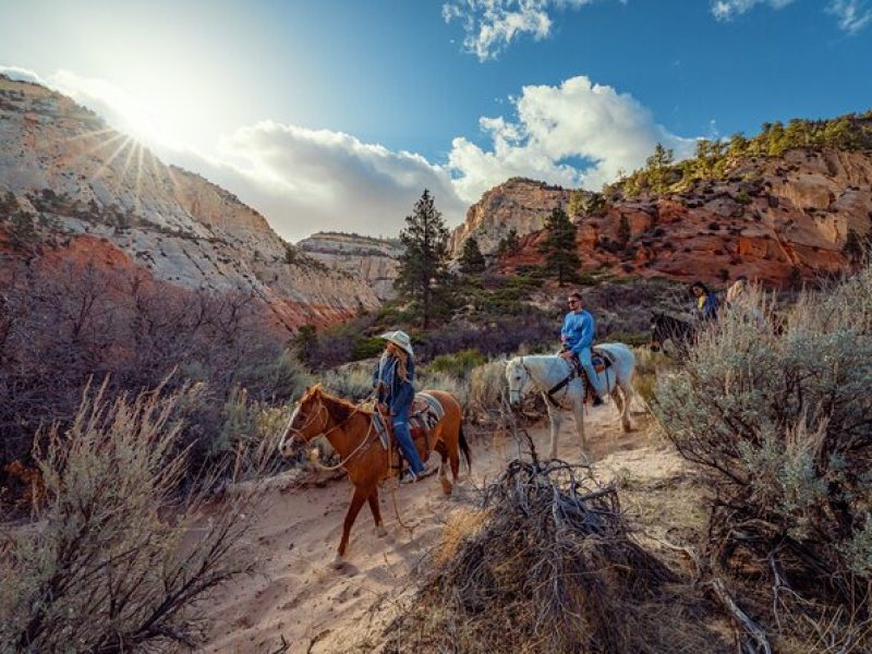 Small-Group East Zion White Mountain Horseback Ride