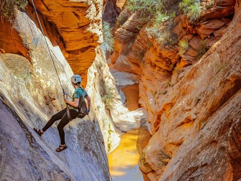 East Zion: Powell's Way Full-Day Canyoneering