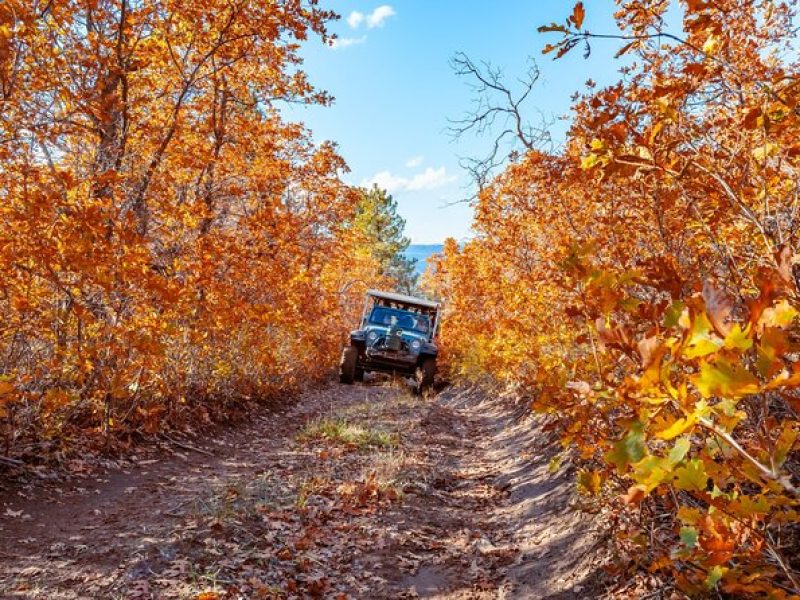 East Zion Brushy Cove Jeep Tour