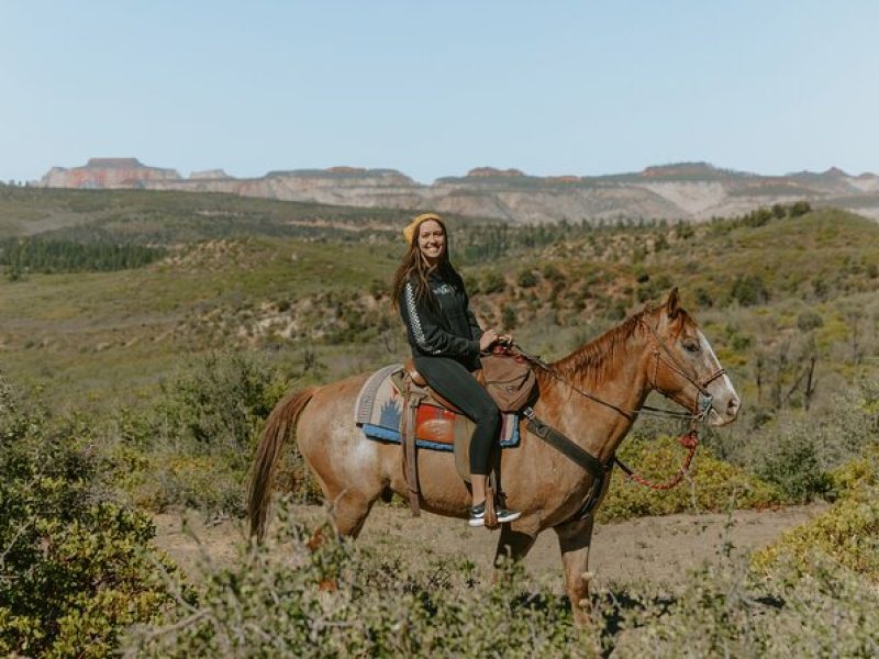 East Zion Pine Knoll Horseback Ride