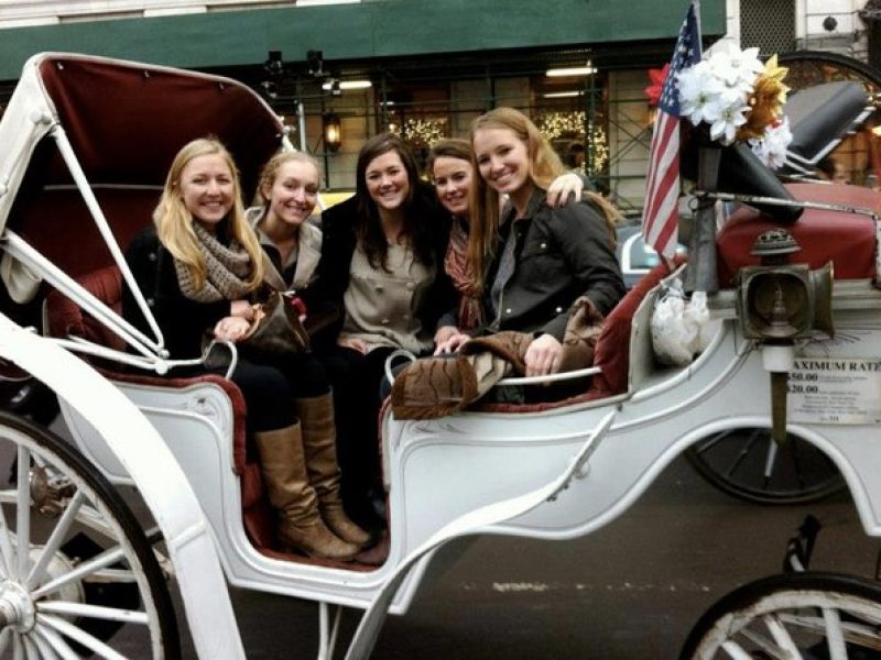 50 Minutes Central Park Horse and Carriage Tour Up to 4 Adults