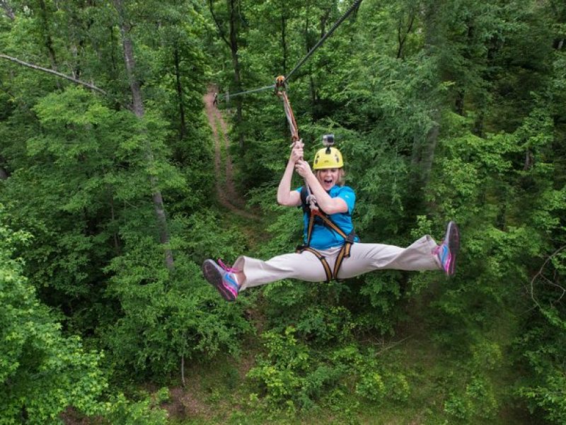 Small-Group Zipline Tour in Hot Springs