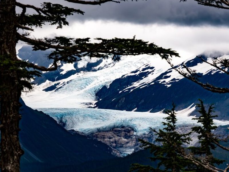 Exquisite Wildlife & Wilderness Photo Tour Anchorage -Whittier