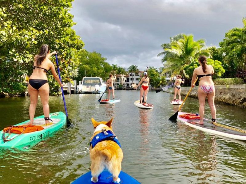 SUP PUP Paddleboard Tour