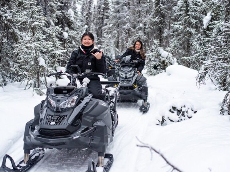 Reindeer and Snowmobile Day Trip to Borealis Basecamp with Lunch