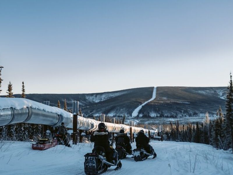 1 Hour Snowmobile Adventure in Boreal Forest